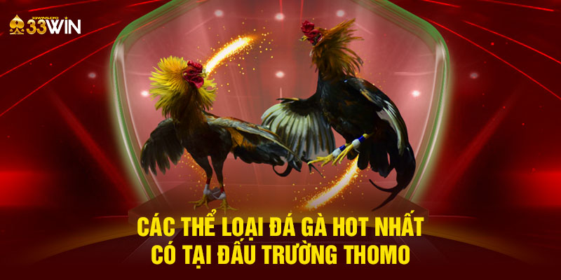 Các thể loại đá gà hot nhất có tại đấu trường Thomo