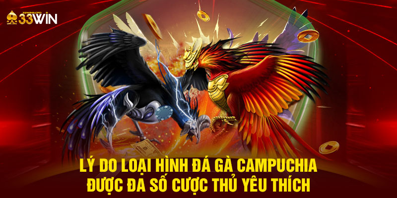 Lý do loại hình đá gà Campuchia được đa số cược thủ yêu thích