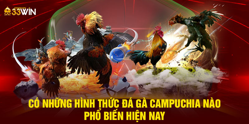 Có những hình thức đá gà Campuchia nào phổ biến hiện nay