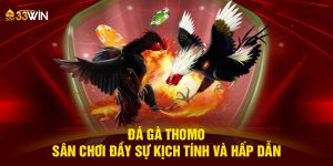 da-ga-thomo-san-choi-day-su-kich-tinh-va-hap-dan