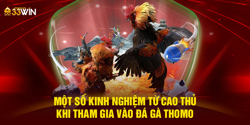 Một số kinh nghiệm từ cao thủ khi tham gia vào đá gà Thomo